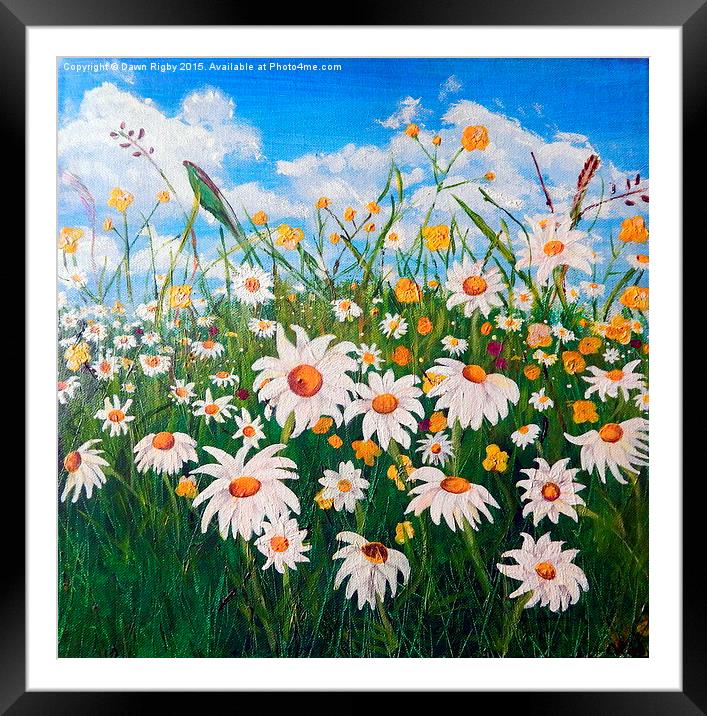  Daisies in the Meadow Framed Mounted Print by Dawn Rigby