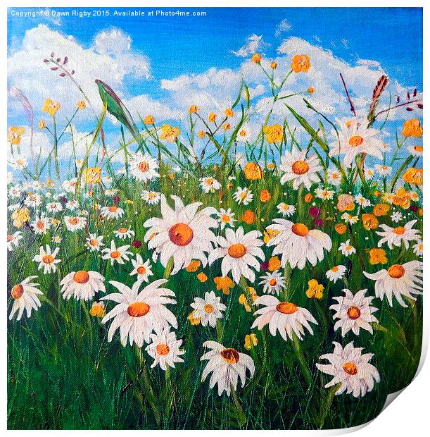 Daisies in the Meadow Print by Dawn Rigby