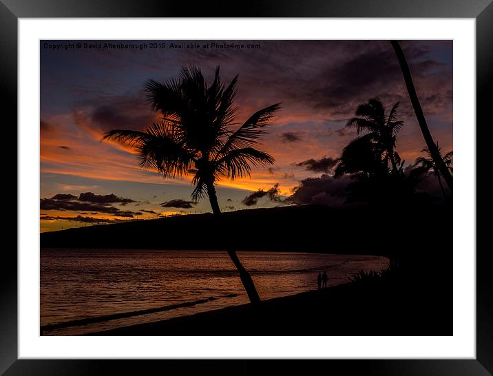  Maui Sunset Framed Mounted Print by David Attenborough