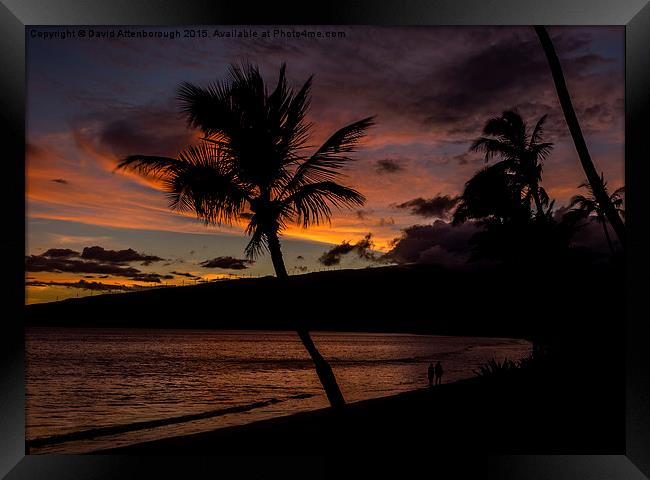  Maui Sunset Framed Print by David Attenborough