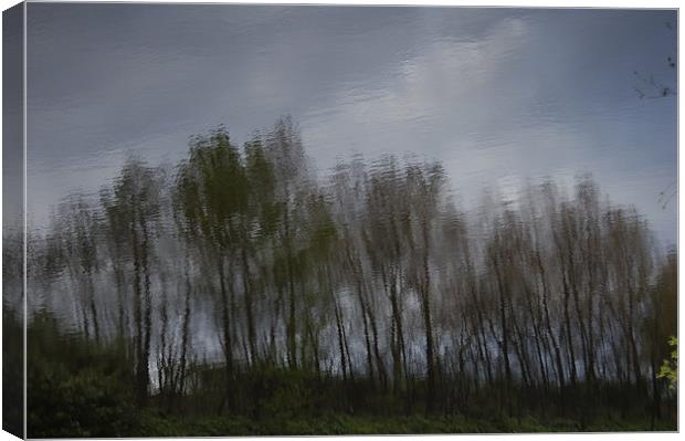 Tree Reflection Art 1 Canvas Print by Iain McGillivray