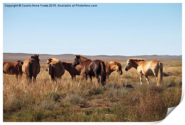  Mongolian Horses in the Gobi Desert Print by Carole-Anne Fooks