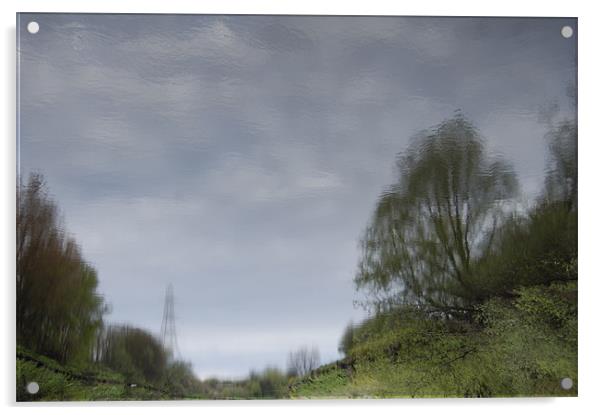 Tree Reflection Art 2 Acrylic by Iain McGillivray