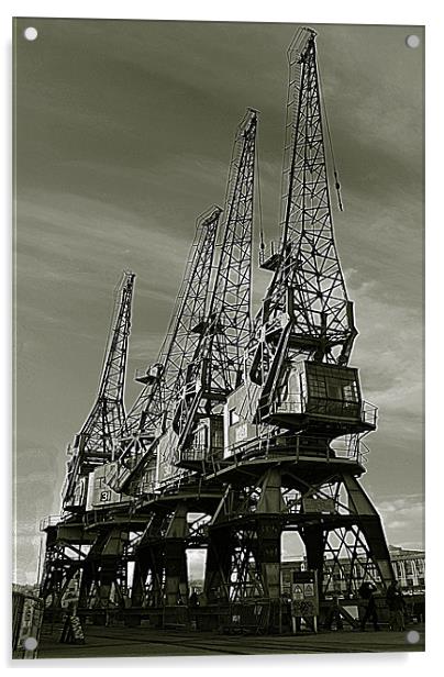 Dock Cranes Acrylic by Rob Hawkins