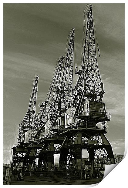 Dock Cranes Print by Rob Hawkins