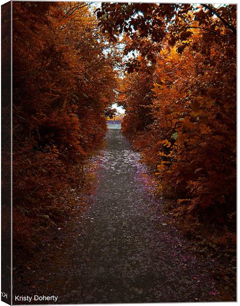 The lonely path Canvas Print by kristy doherty