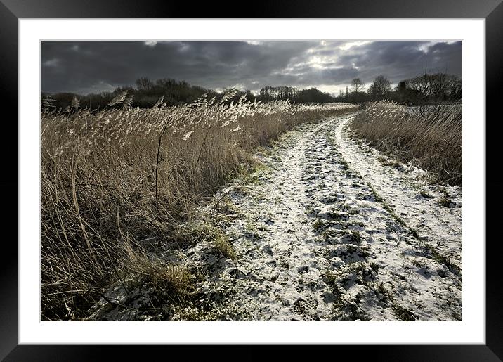 Snow tracks Framed Mounted Print by Stephen Mole