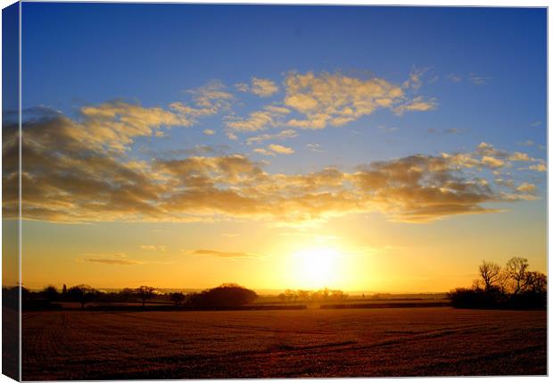 A New Day Canvas Print by Pete Holloway