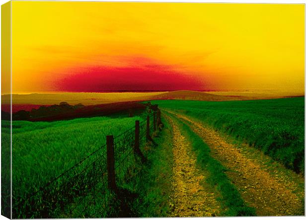 Southdowns Way near Worthing,WestSussex. Canvas Print by Kleve 