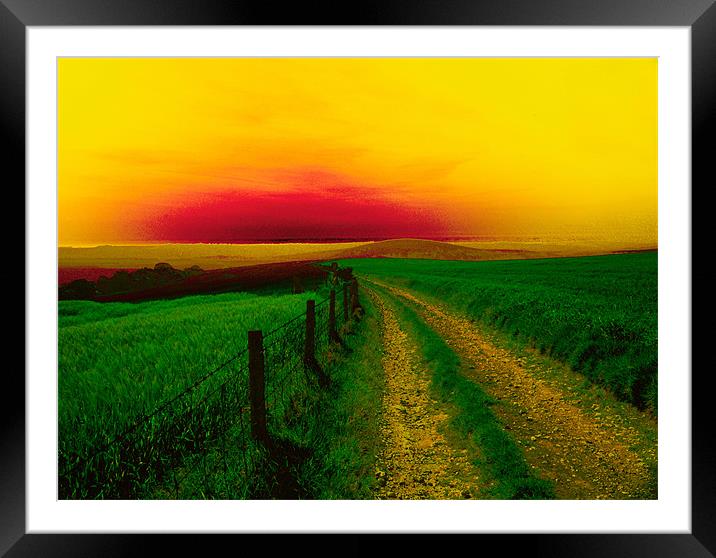 Southdowns Way near Worthing,WestSussex. Framed Mounted Print by Kleve 