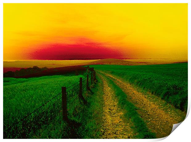Southdowns Way near Worthing,WestSussex. Print by Kleve 