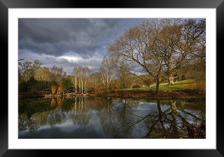 Winter Trees Reflections Framed Mounted Print by Mike Gorton
