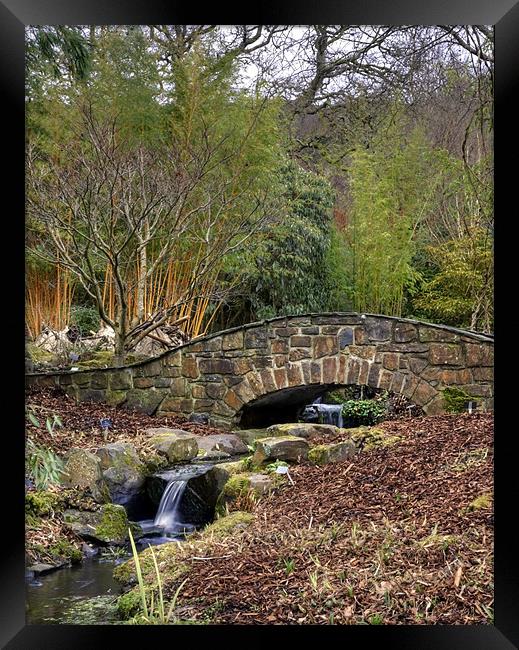 Bridge and The Stream Framed Print by Mike Gorton