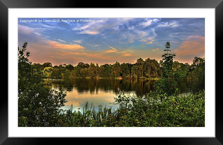  Sunset At Black Swan Lake Framed Mounted Print by Ian Lewis