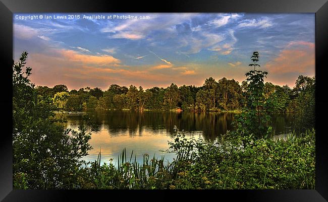  Sunset At Black Swan Lake Framed Print by Ian Lewis