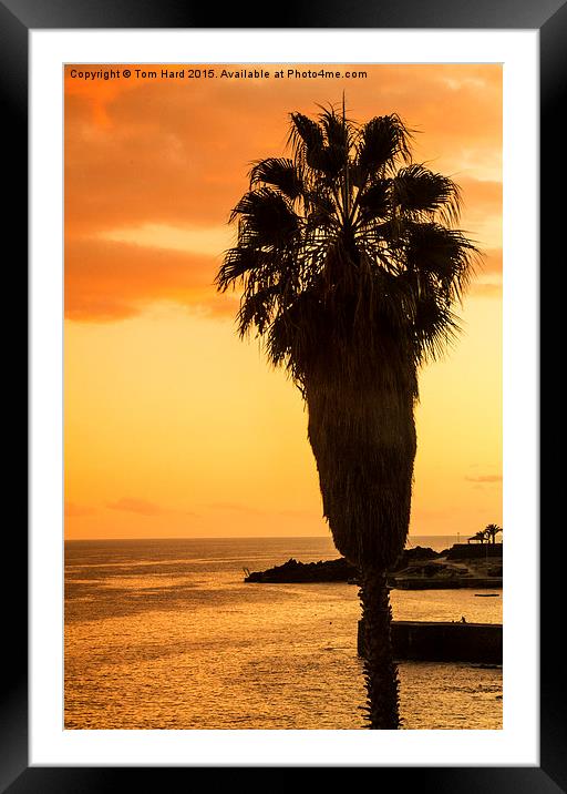  Madeira Sunset Framed Mounted Print by Tom Hard