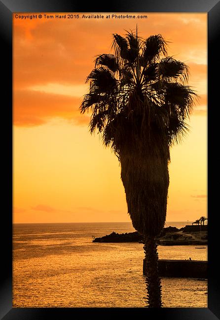  Madeira Sunset Framed Print by Tom Hard
