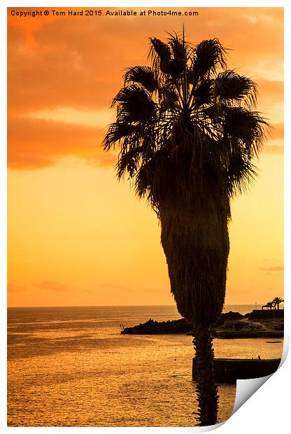  Madeira Sunset Print by Tom Hard