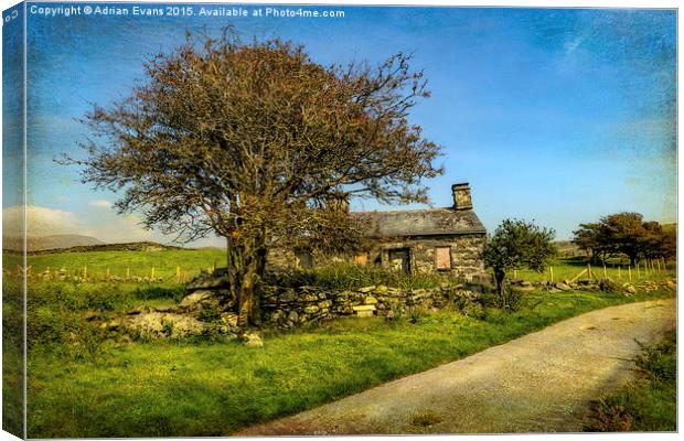 Cottage Ruin Canvas Print by Adrian Evans