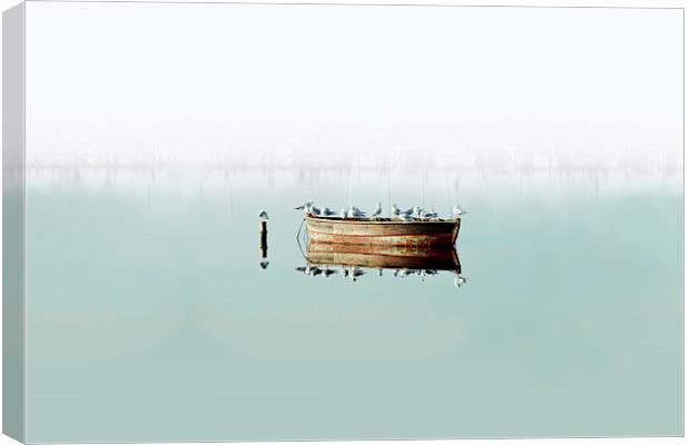  Resting On A Boat Large Canvas Print by Florin Birjoveanu