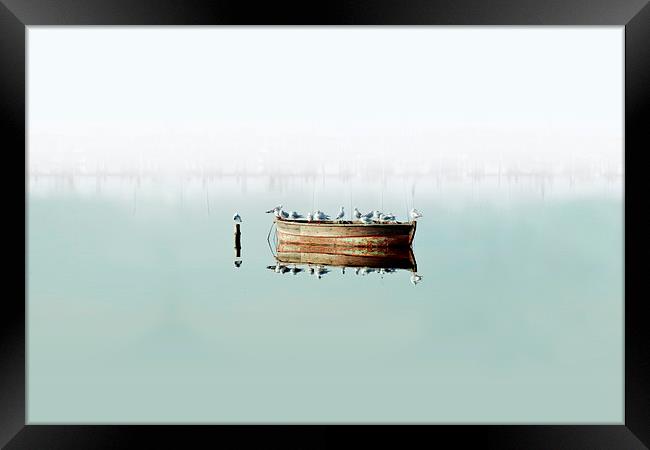  Resting On A Boat Large Framed Print by Florin Birjoveanu