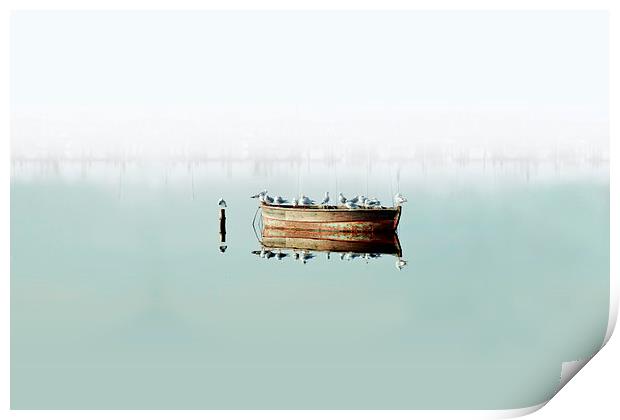  Resting On A Boat Large Print by Florin Birjoveanu