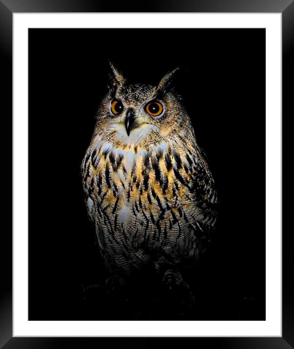  Owl at night Framed Mounted Print by STEPHEN WALSH
