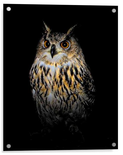  Owl at night Acrylic by STEPHEN WALSH