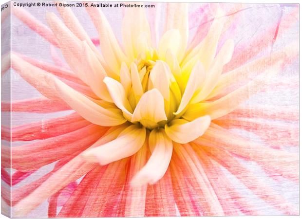   A summer Dahlia flower on wood texture Canvas Print by Robert Gipson