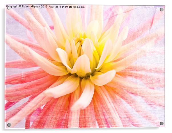   A summer Dahlia flower on wood texture Acrylic by Robert Gipson