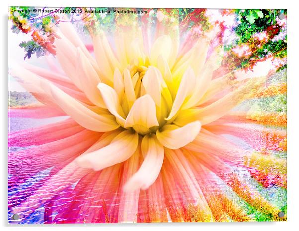    A summer Dahlia flower on vivid background Acrylic by Robert Gipson