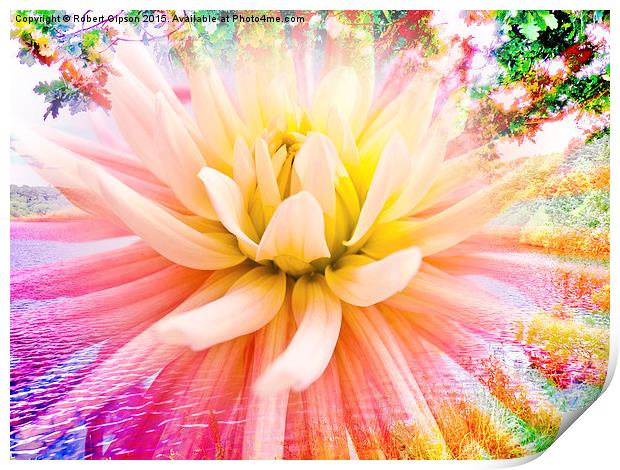    A summer Dahlia flower on vivid background Print by Robert Gipson