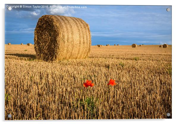 Straw Bales and poppies Acrylic by Simon Taylor