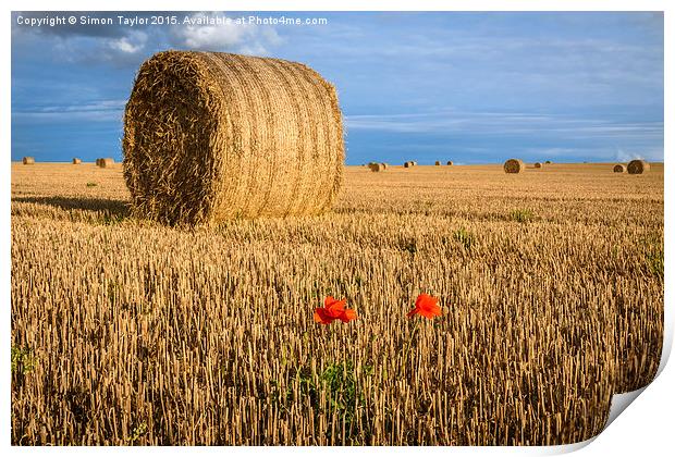 Straw Bales and poppies Print by Simon Taylor