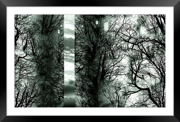 Wood Space Black and White Detail Framed Mounted Print by Florin Birjoveanu