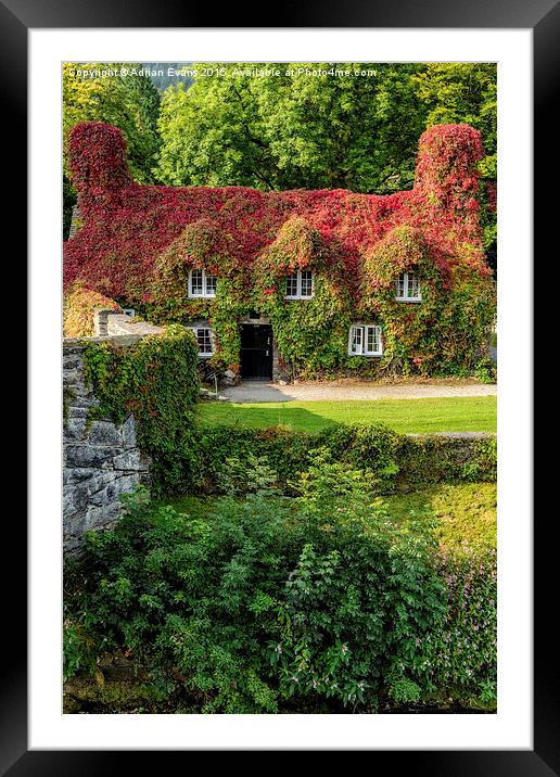 Llanrwst Tea Shop Wales Framed Mounted Print by Adrian Evans