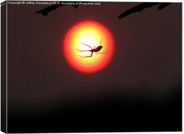  Spider in the sunset Canvas Print by Jeffrey Greenwood