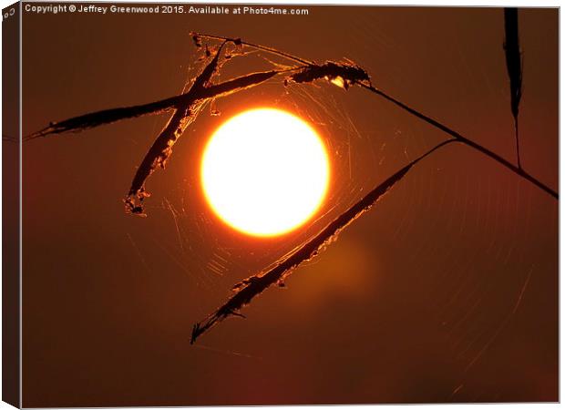  Sunset in the Spiders web Canvas Print by Jeffrey Greenwood