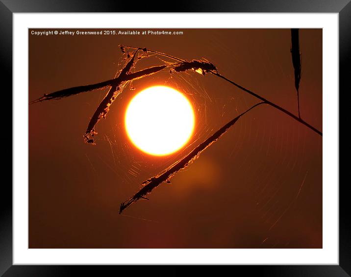  Sunset in the Spiders web Framed Mounted Print by Jeffrey Greenwood