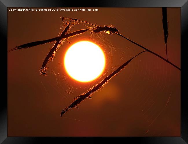  Sunset in the Spiders web Framed Print by Jeffrey Greenwood