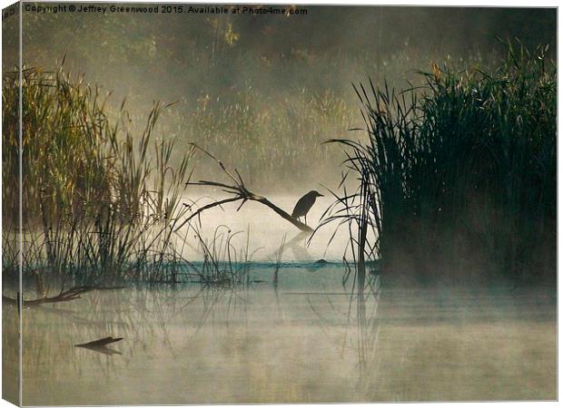  Green Heron in the early morning mist Canvas Print by Jeffrey Greenwood