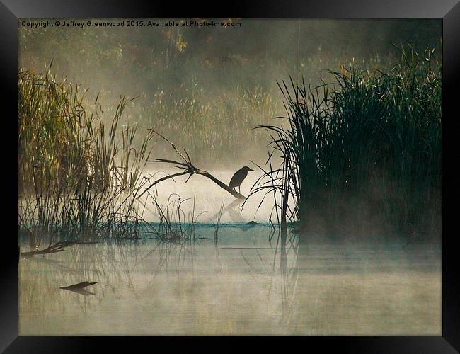  Green Heron in the early morning mist Framed Print by Jeffrey Greenwood