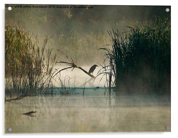  Green Heron in the early morning mist Acrylic by Jeffrey Greenwood