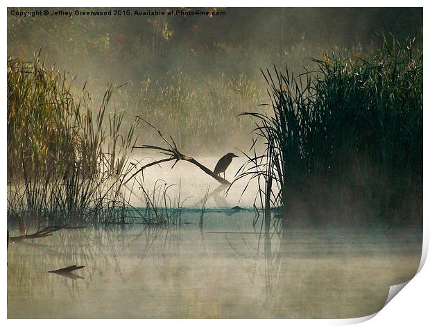  Green Heron in the early morning mist Print by Jeffrey Greenwood