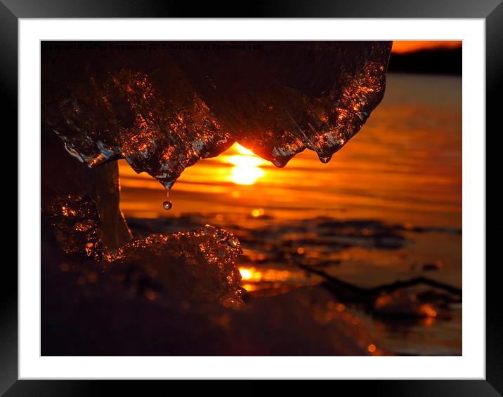  Water droplet with sunset Framed Mounted Print by Jeffrey Greenwood