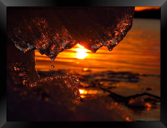  Water droplet with sunset Framed Print by Jeffrey Greenwood