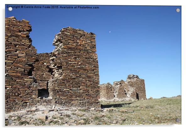  Fortress. Middle Gobi Mongolia Acrylic by Carole-Anne Fooks