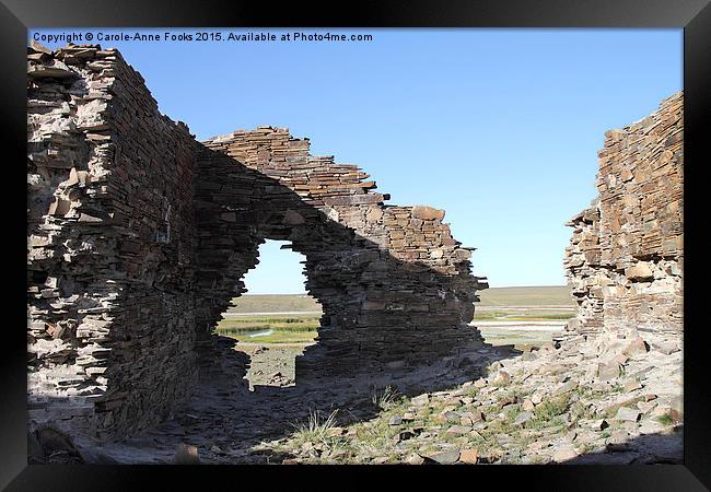   Fortress. Middle Gobi Mongolia Framed Print by Carole-Anne Fooks