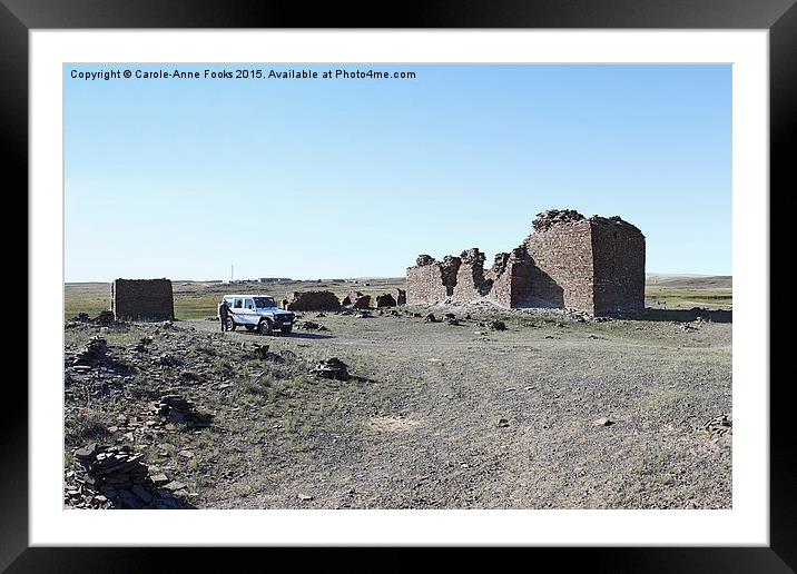   Fortress. Middle Gobi Mongolia Framed Mounted Print by Carole-Anne Fooks