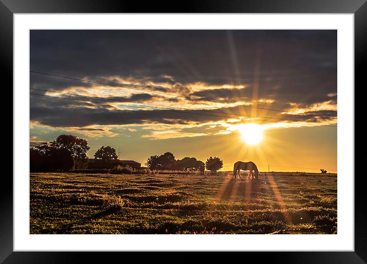  Moments Framed Mounted Print by ZI Photography